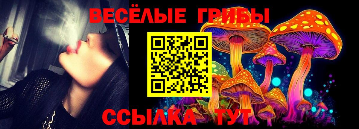 Галлюциногенные грибы Cubensis  Вход с VPN  Ставрополь 