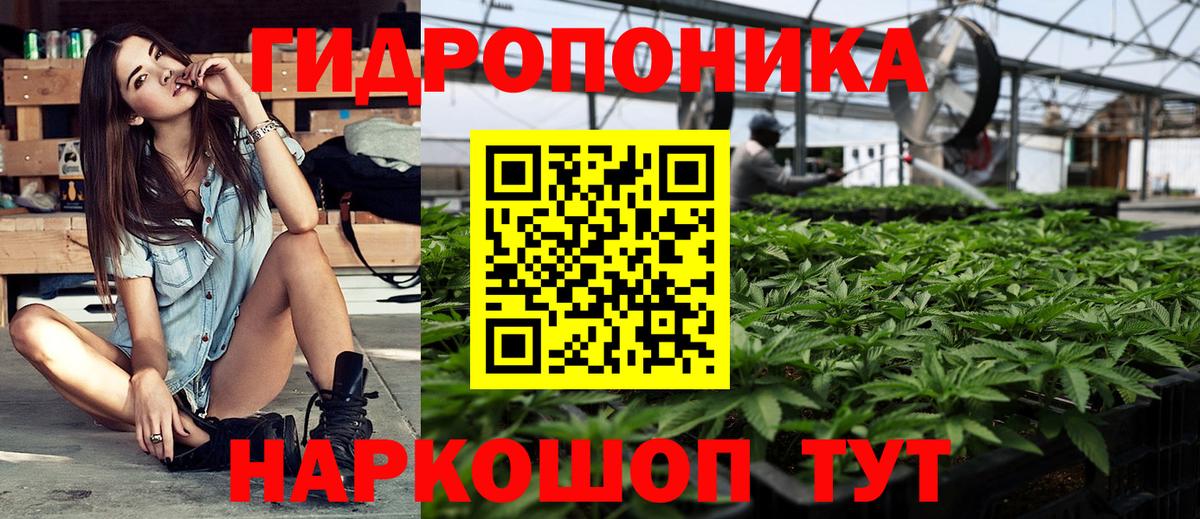 Бошки Шишки LSD WEED  Вход с VPN  Шишки марихуана AK-47  Ставрополь  Каннабис конопля 